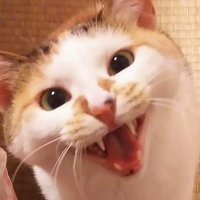 会員画像