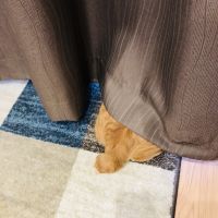 いけの 会員画像
