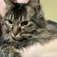 natsumi4 会員画像