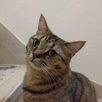 ゆぃたく 会員画像
