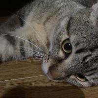 りーや 会員画像