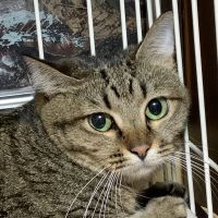 さくら＿ひだまりさん