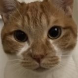 渡辺ゆん 会員画像