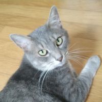 エッビ 会員画像