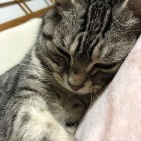 会員画像