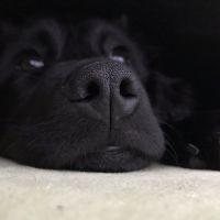 ari2019 会員画像