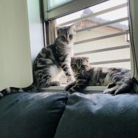 kai&kuu 会員画像