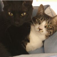 れいてん 会員画像