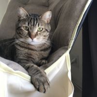 ヒコ君のパパ 会員画像