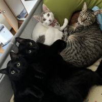 なかむら　みきさん