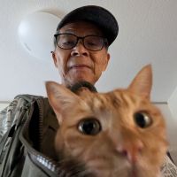 とらサビパパさん