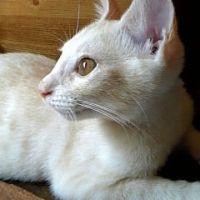 noramyao 会員画像