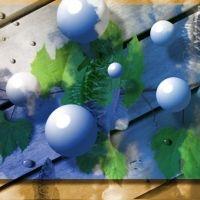 ミカドラス 会員画像