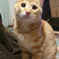 シンリ 会員画像