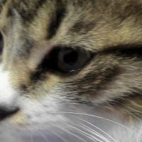 どんぐりんこ 会員画像