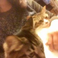 会員画像