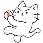 kokoroncard 会員画像