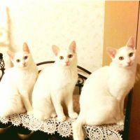 会員画像