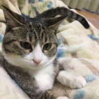 とらみぃ 会員画像