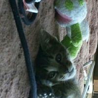 三浦しんちゃん 会員画像