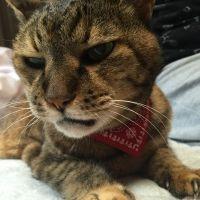もにの まなち 会員画像