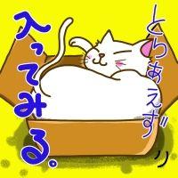 しらぬい 会員画像