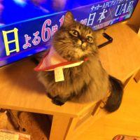 うんぼたん 会員画像