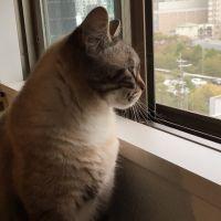 アンコロモチジジ 会員画像