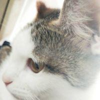 ラキラキ 会員画像