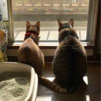 なるぞう 会員画像
