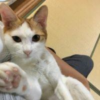 Tink83 会員画像