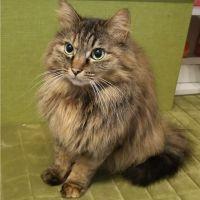 ティナたん 会員画像