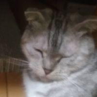会員画像