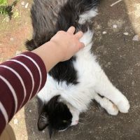 ふーむー 会員画像