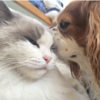 会員画像
