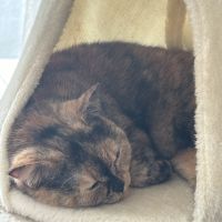 おぬまさん