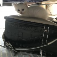 みーれーなーさん