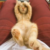 たけたろー 会員画像