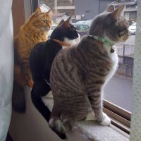 もぐたろう 会員画像