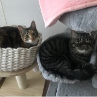 プリティー 会員画像