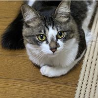 ｍiuさん