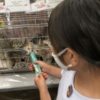 せきちぃ 会員画像