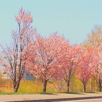 つなぐ。 会員画像