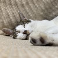 みきかわ 会員画像