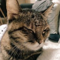 ひなはるあゆ 会員画像