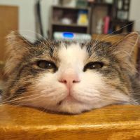 ばし11 会員画像