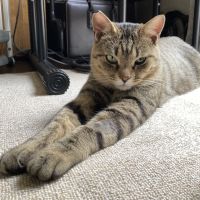 Kazuya666さん