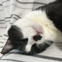 loveloveminaco 会員画像