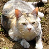 りゅうはや 会員画像