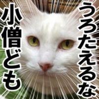 すがやん 会員画像